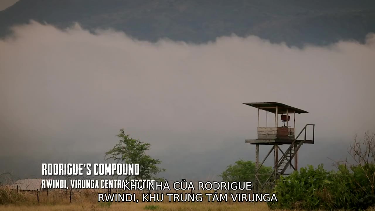 Virunga tập 1 cảnh 2