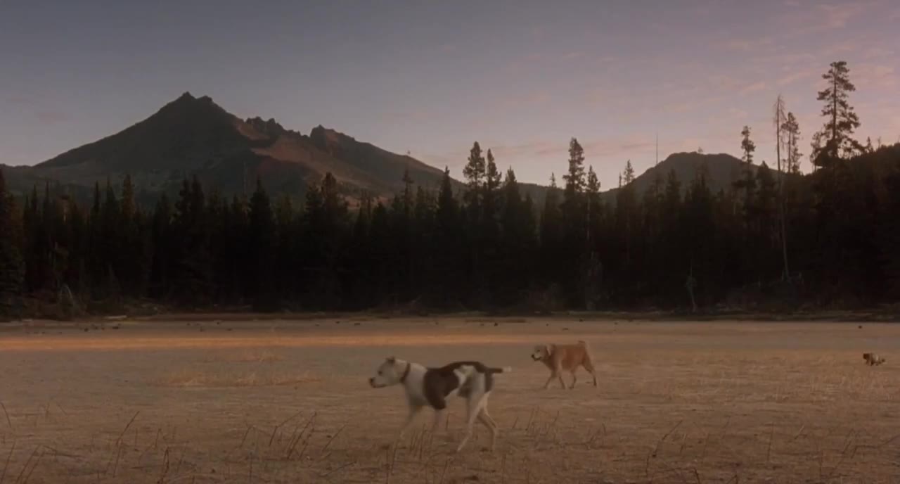 Homeward Bound: The Incredible Journey tập 1 cảnh 3