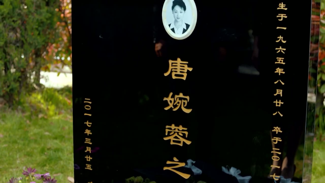 Lưu Quang Chi Hạ tập 45