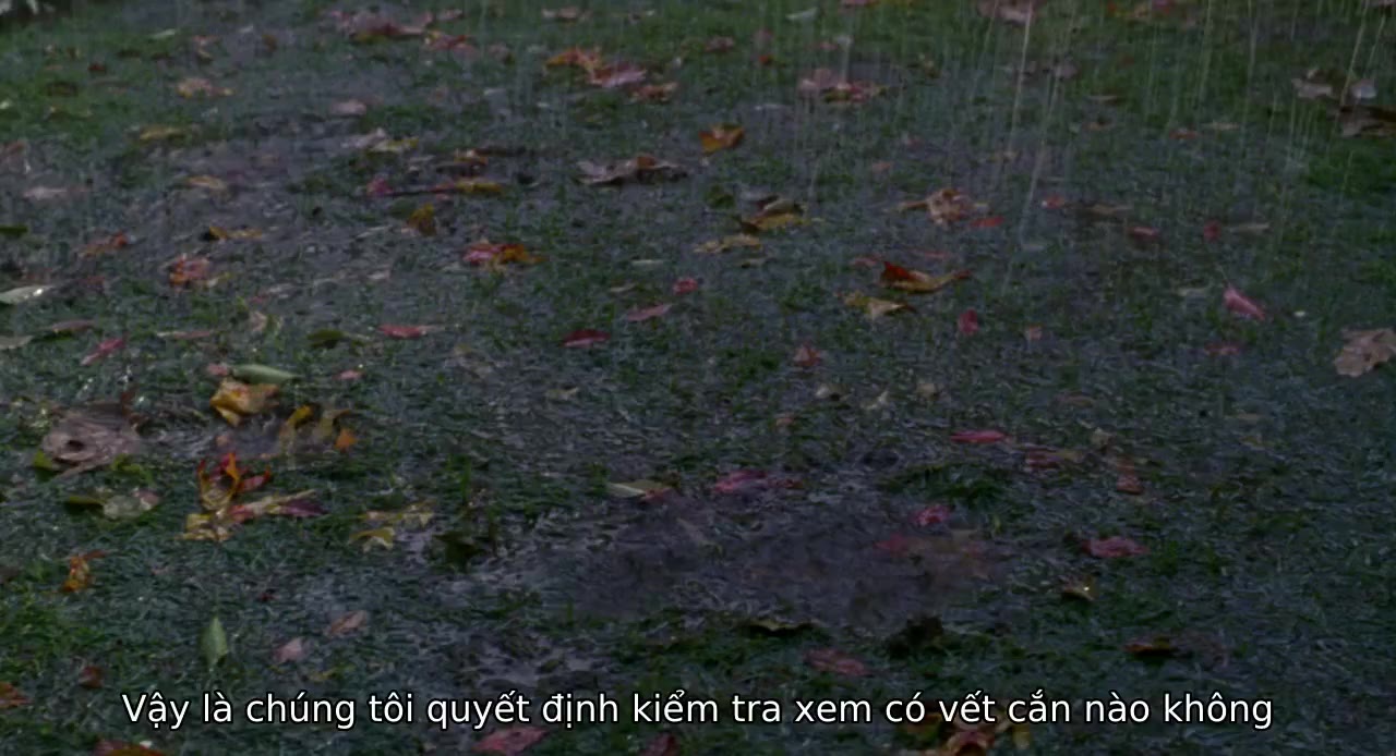 Bố Của Cô Dâu Phần 2 tập 1