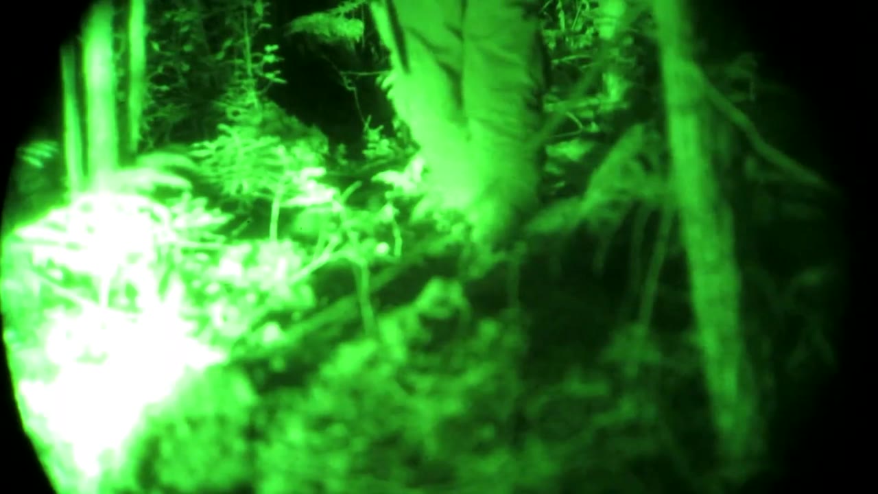 Truy Tìm Bigfoot tập 1