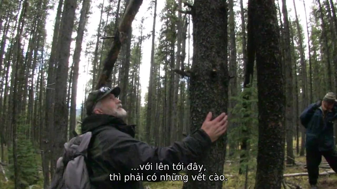 Truy Tìm Bigfoot tập 1 cảnh 2