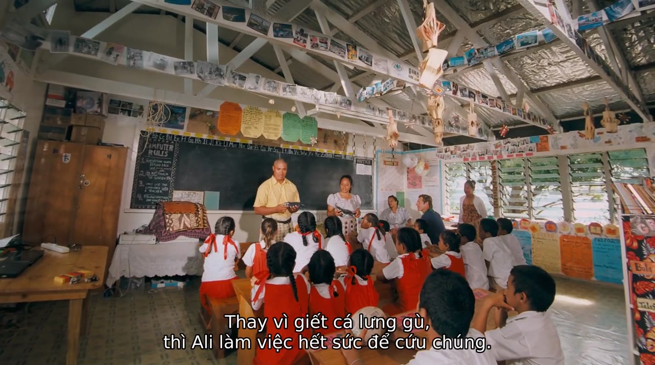 Cá Voi Lưng Gù tập 1