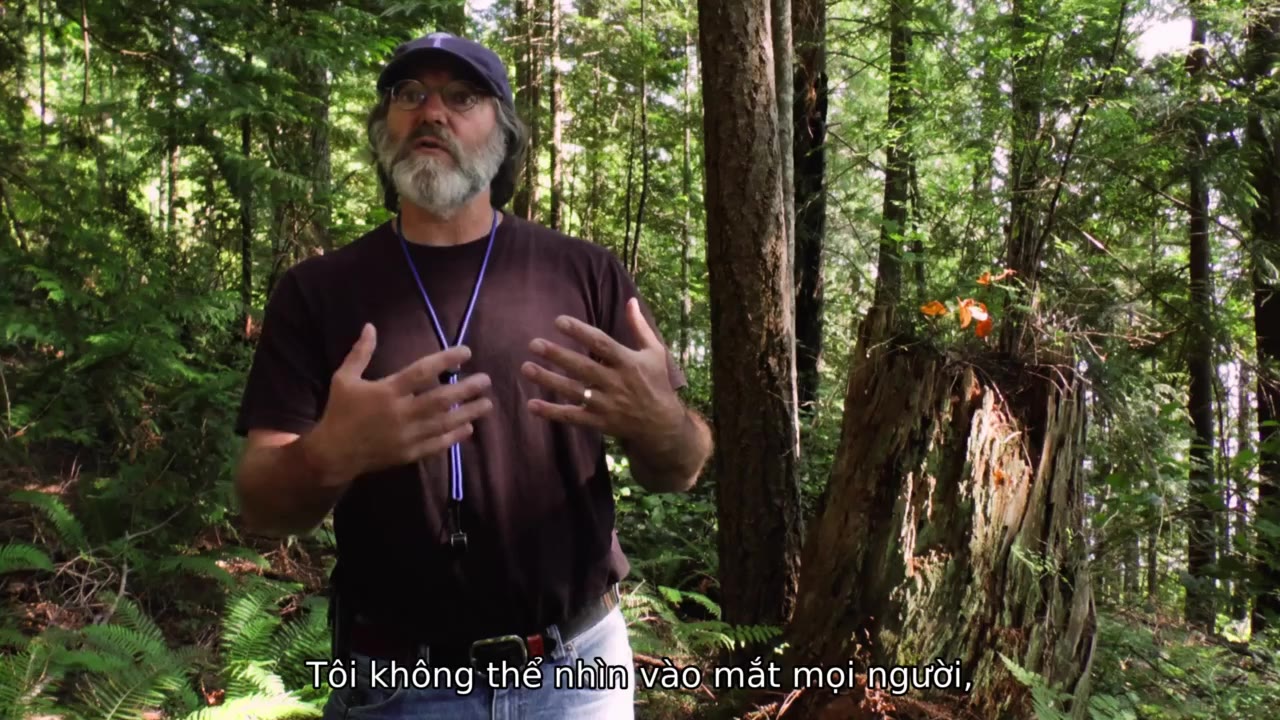 Thế giới nấm diệu kỳ - cảnh 1