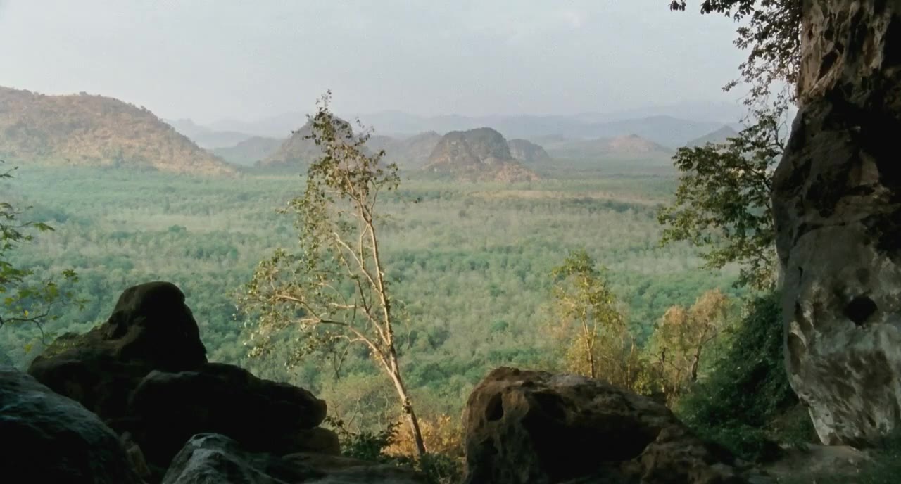 Uncle Boonmee Who Can Recall His Past Lives tập 1 cảnh 3