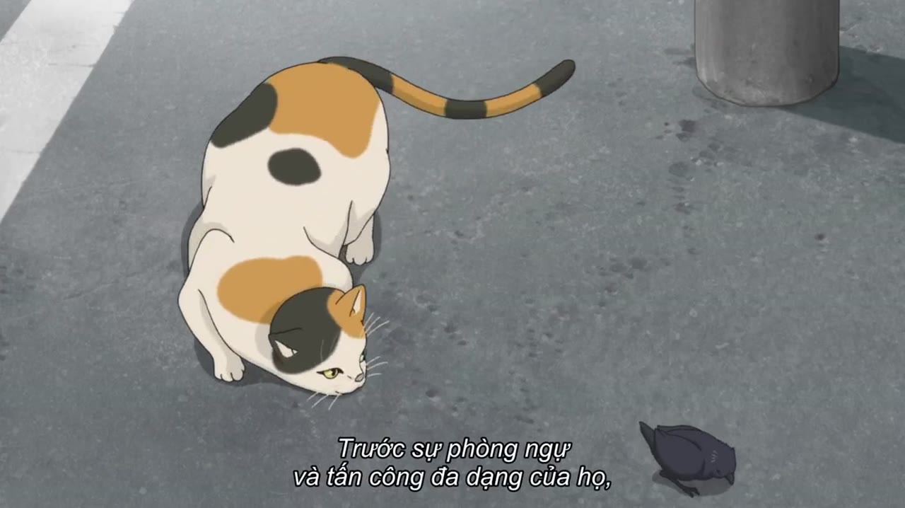 Haikyu!! Bản điện ảnh 1: Kết thúc và bắt đầu - cảnh 3