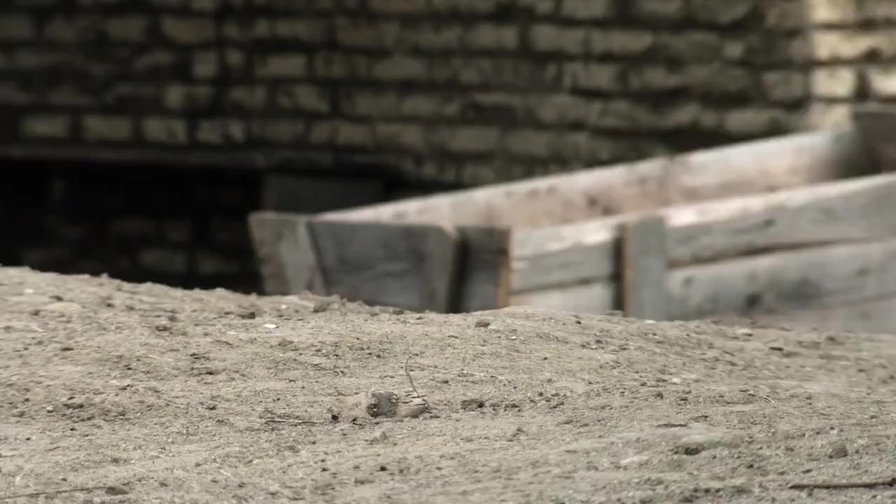 Dead in Tombstone tập 1 cảnh 2