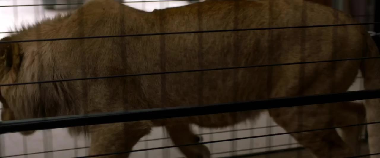 The Wolf and the Lion tập 1 cảnh 2