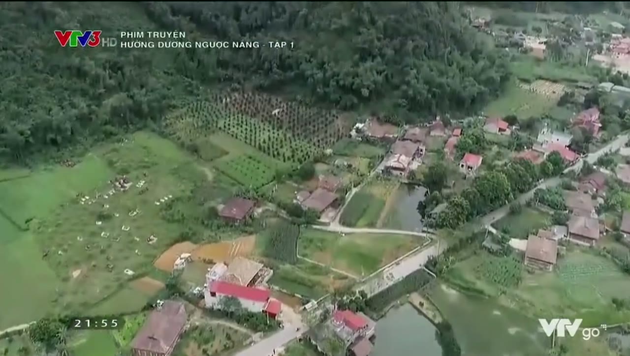 Hướng Dương Ngược Nắng tập 1