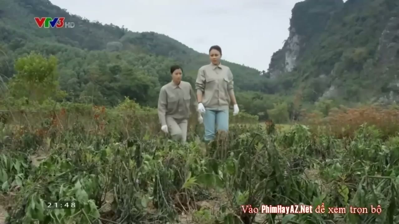 Hướng Dương Ngược Nắng tập 41