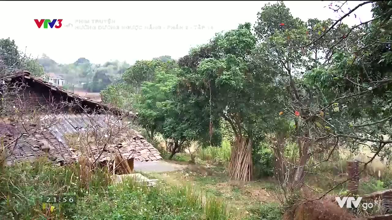 Hướng Dương Ngược Nắng tập 44 cảnh 2