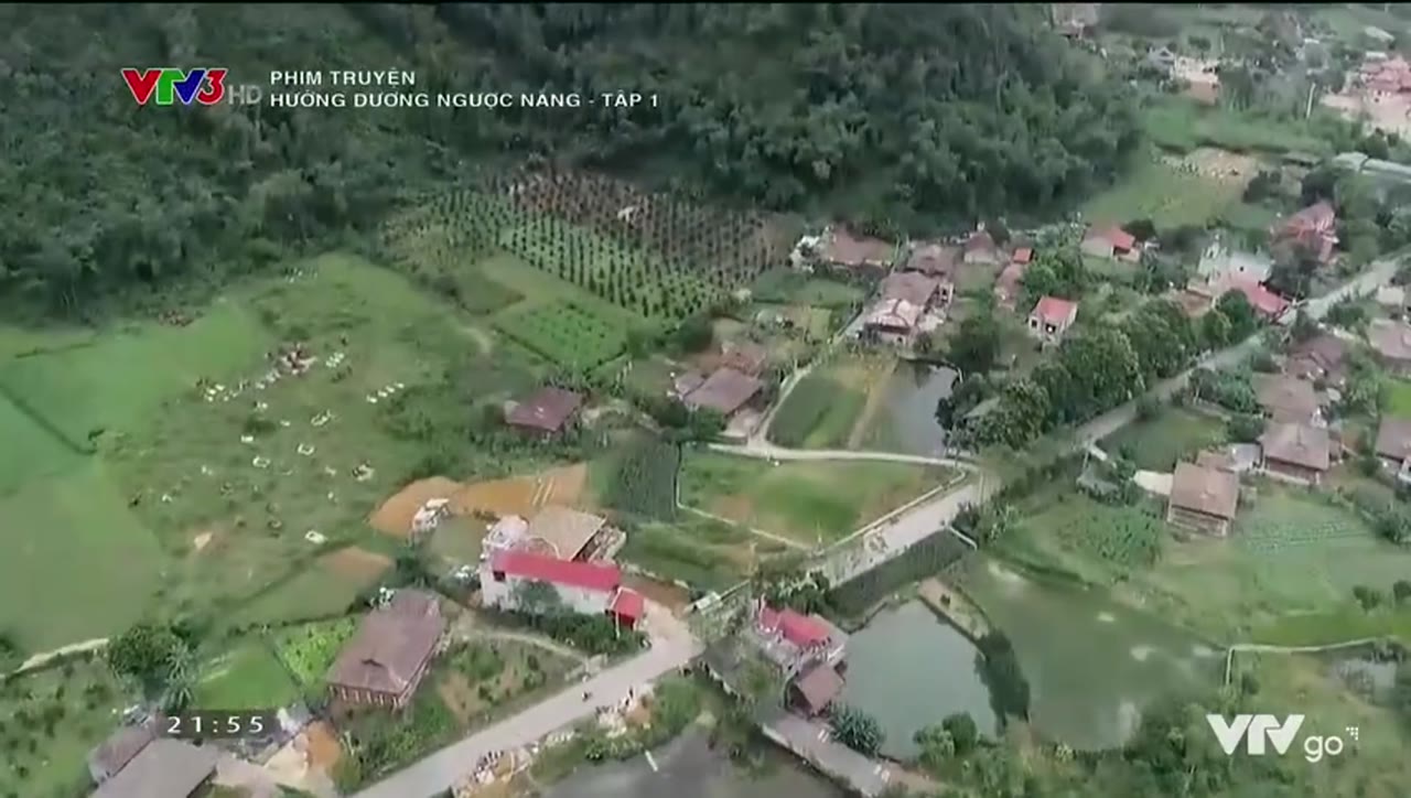 Hướng Dương Ngược Nắng - cảnh 1