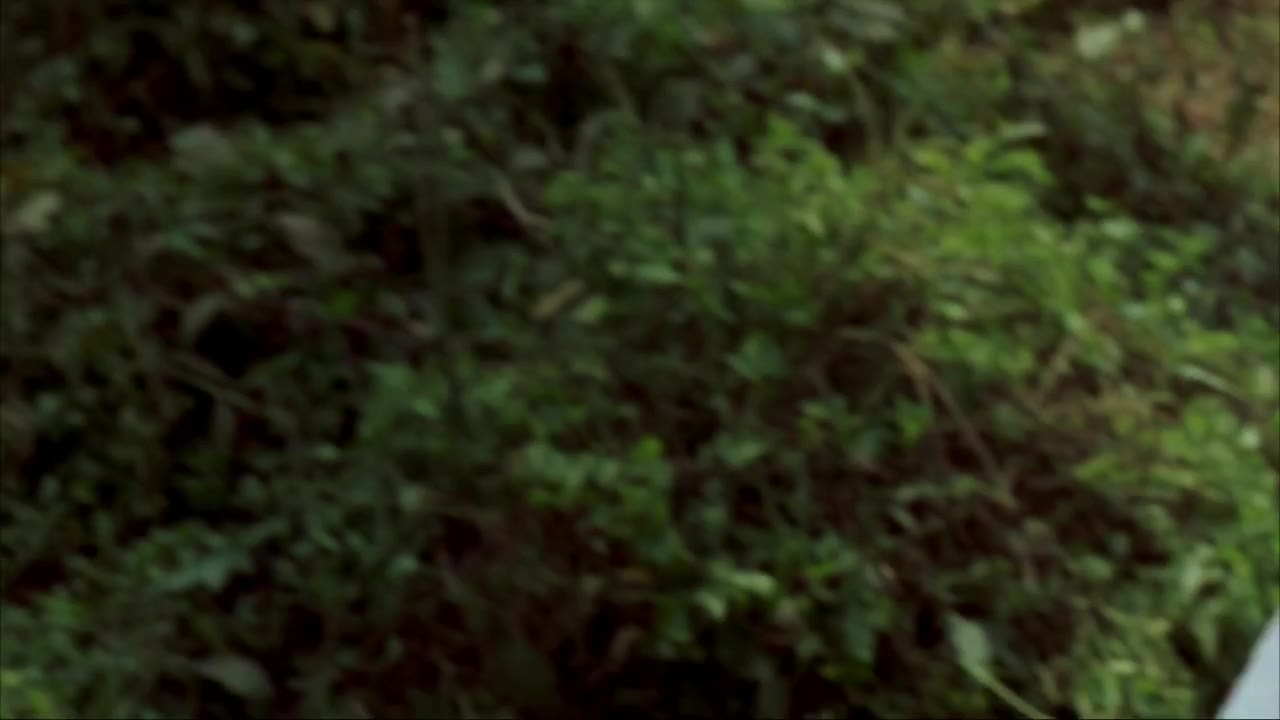Lính Bắn Tỉa 3 - cảnh 1