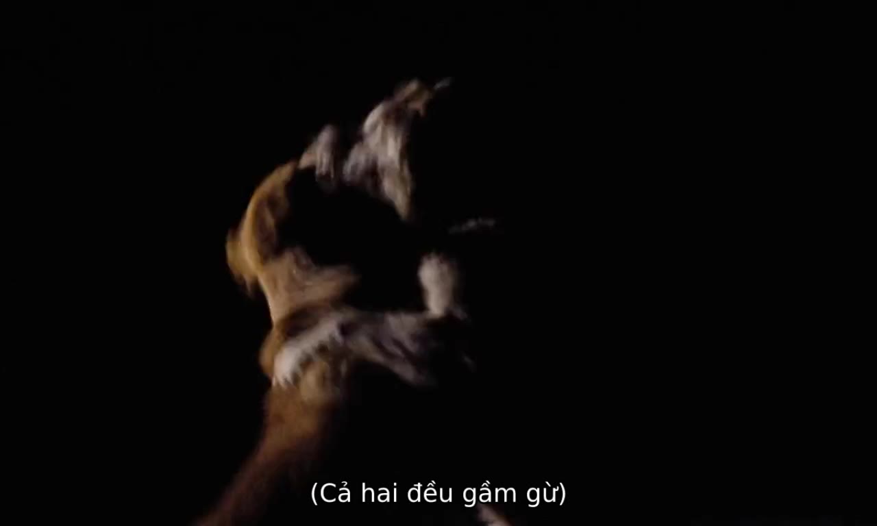 Old Yeller tập 1 cảnh 3