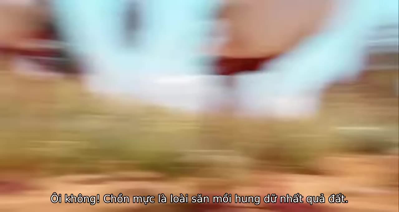 Vẹt Cò Phiêu Lưu Ký tập 1 cảnh 3
