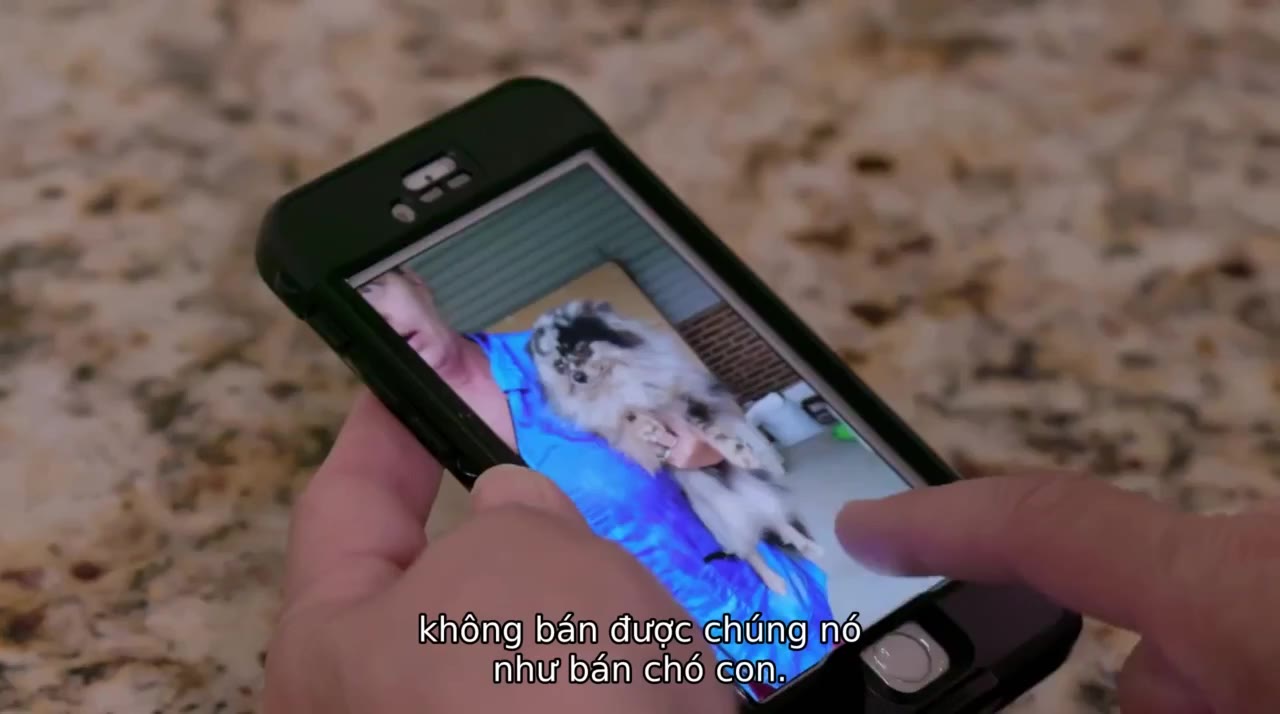 Cuộc Sống Ở Trại Chó tập 1 cảnh 3