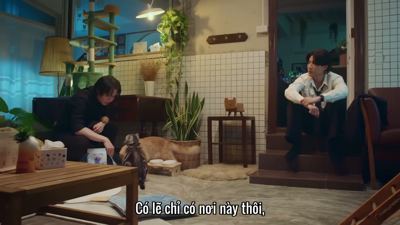 Đổi Tình Lấy Mèo tập 1 cảnh 3