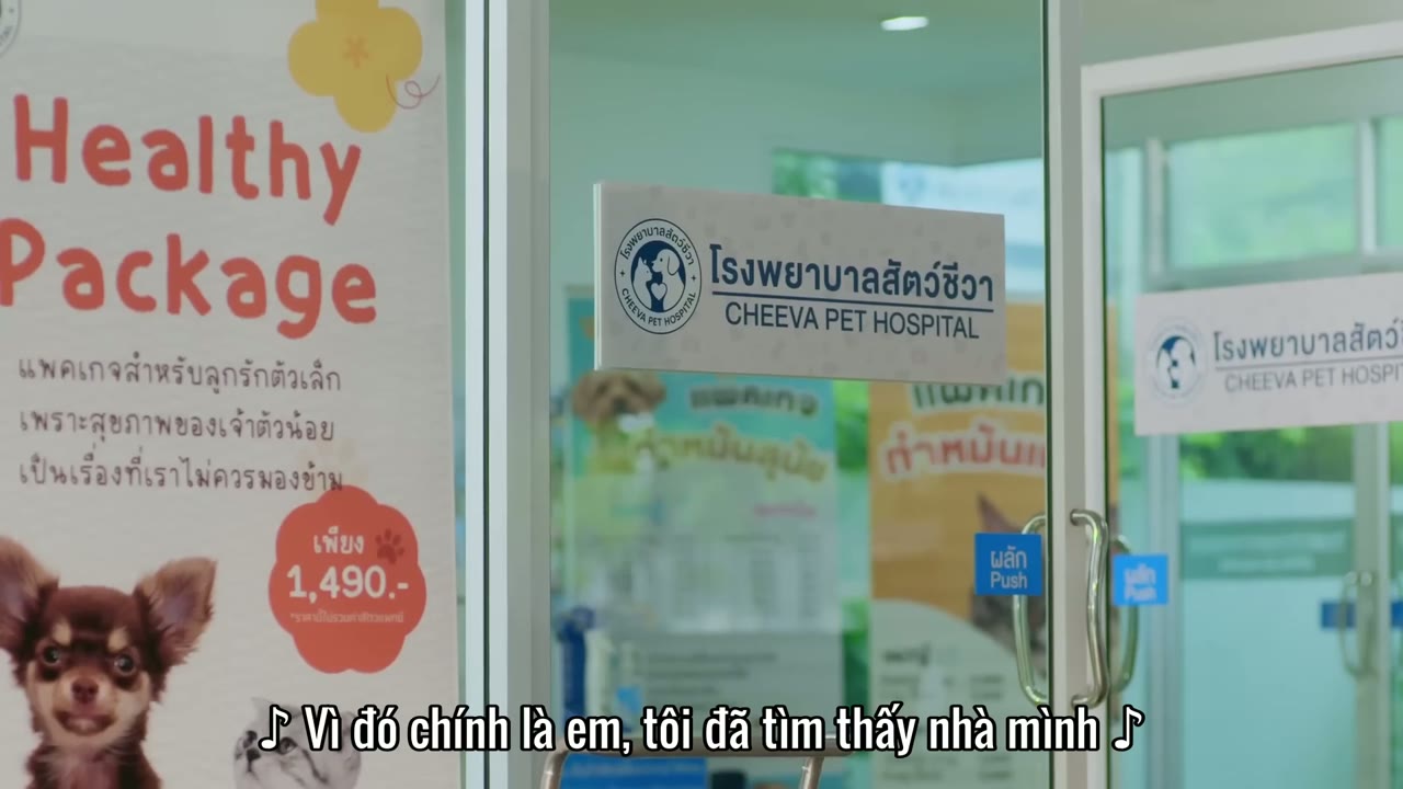 Đổi Tình Lấy Mèo tập 3 cảnh 3