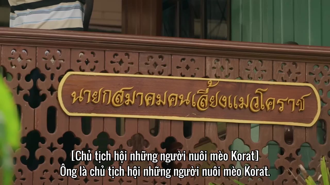 Đổi Tình Lấy Mèo tập 6