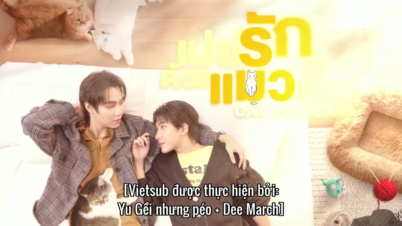 Đổi Tình Lấy Mèo tập 10