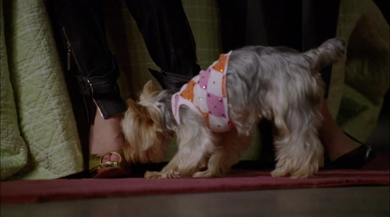 Sharpay Phiêu Lưu Ký tập 1 cảnh 2