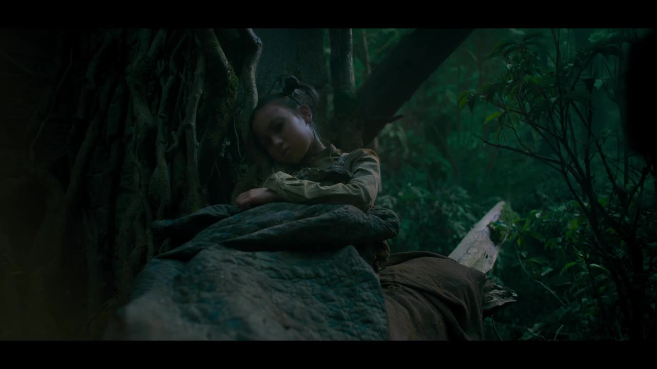 Peter Pan Và Wendy - cảnh 2
