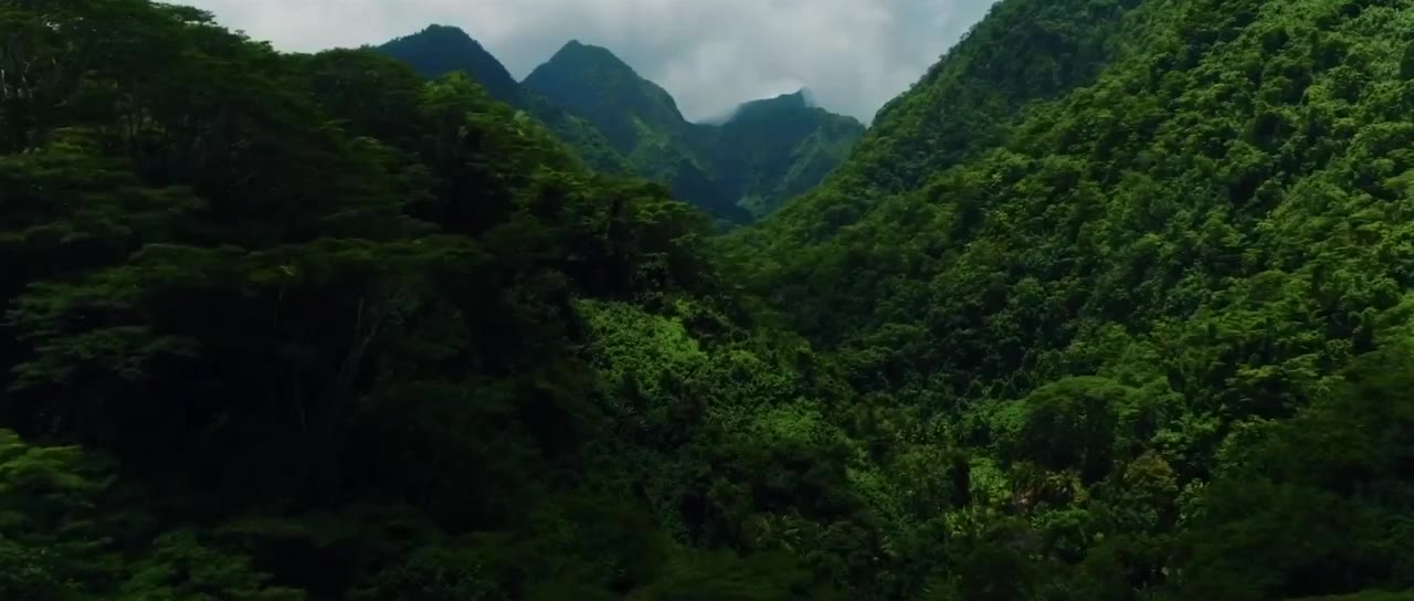 Đảo Vàng tập 1