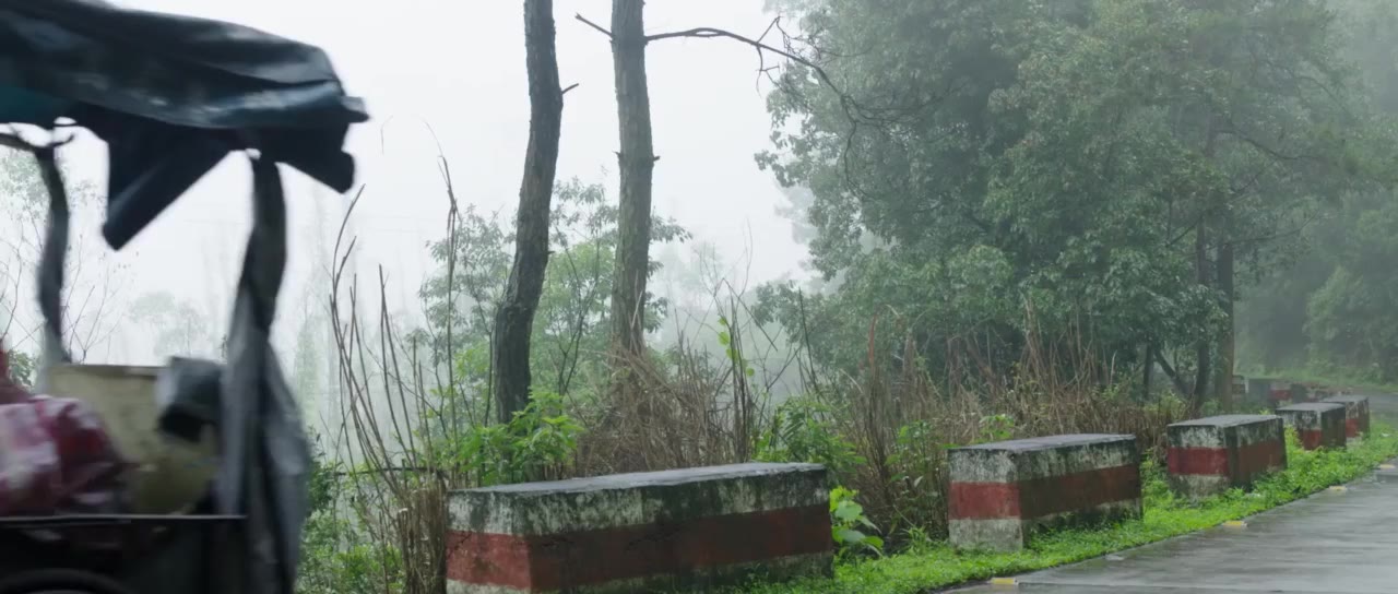 Bố Ngốc - cảnh 3