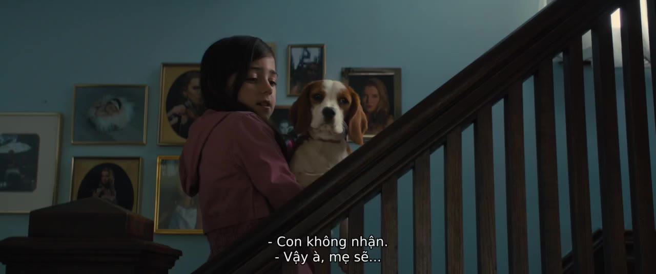 Hành Trình Của Chú Chó Bailey - cảnh 1