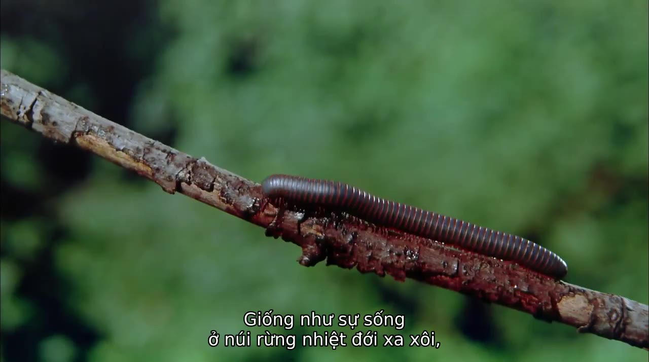 Thế Giới Đã Mất - cảnh 3