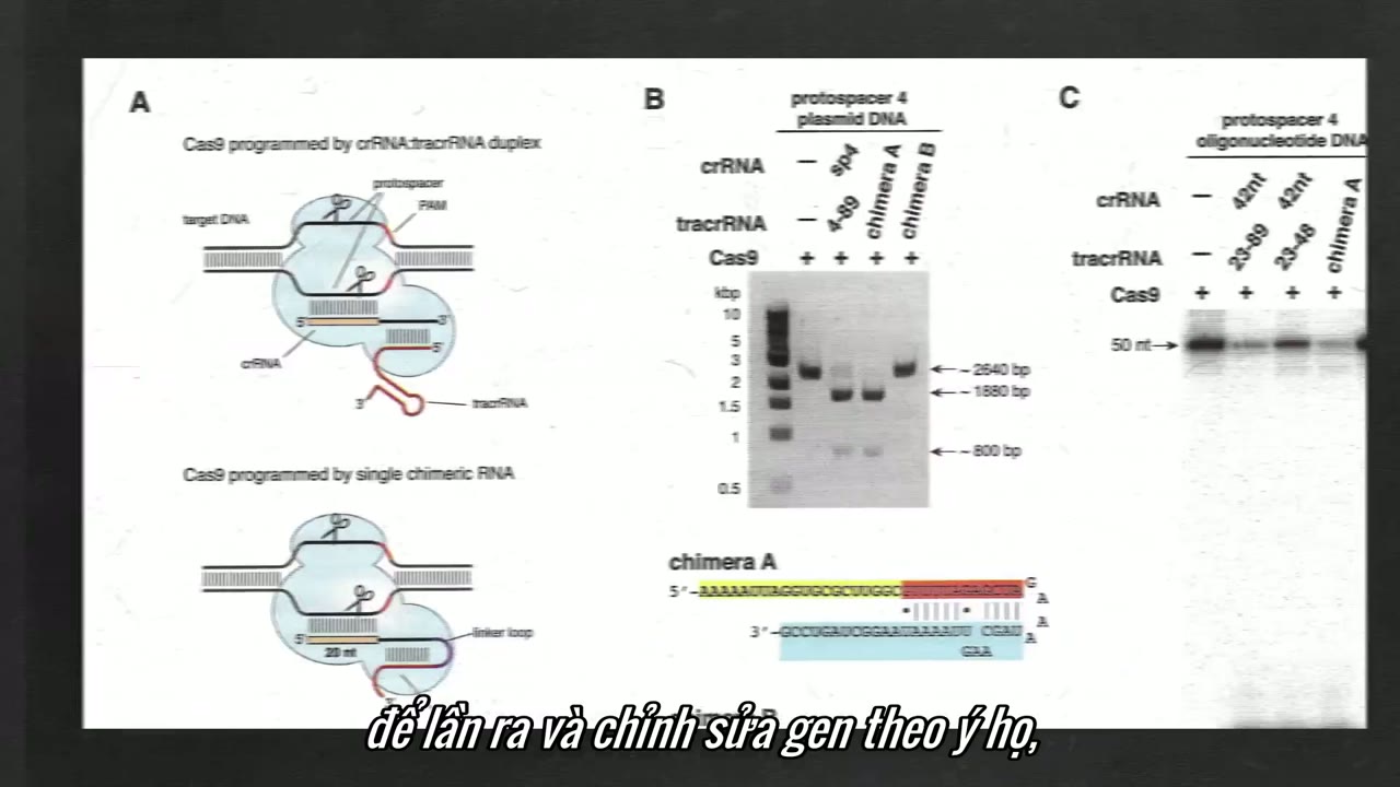 Giải mã (Phần 1) tập 2