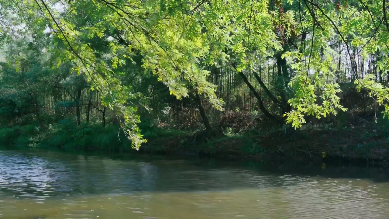 Trâm Khoá Tình tập 14