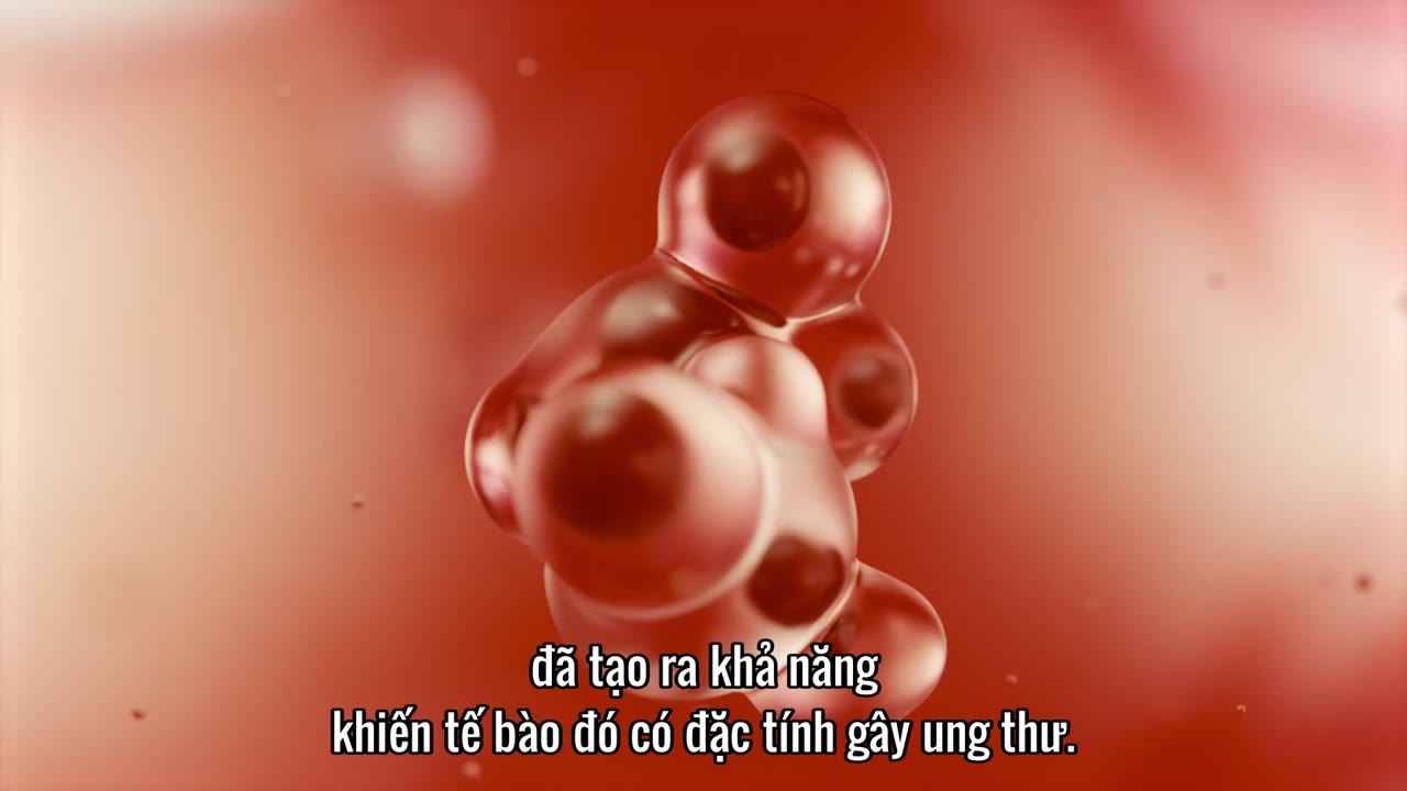 Thải độc nhựa tập 1