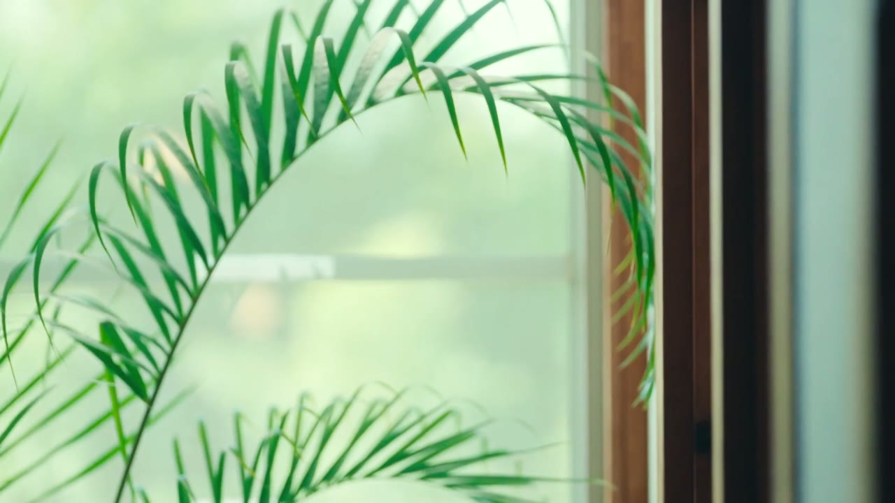 Bạn Trai (Phần 2) tập 1 cảnh 2