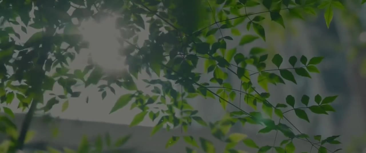Đi Nghe Tiếng Gió Đại Ngàn tập 9 cảnh 3