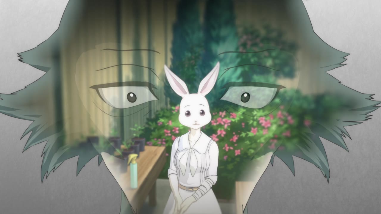 BEASTARS: Thế giới người thú (Phần 3) tập 2 cảnh 3