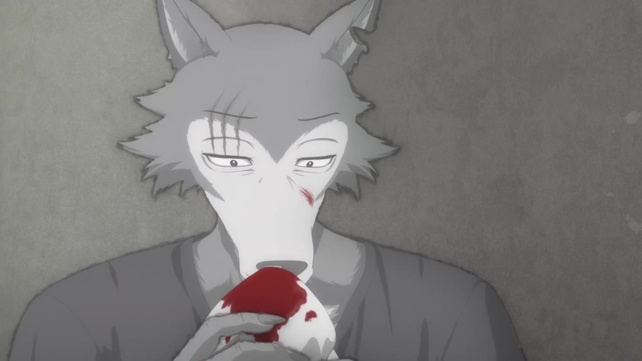 BEASTARS: Thế giới người thú (Phần 3) tập 16