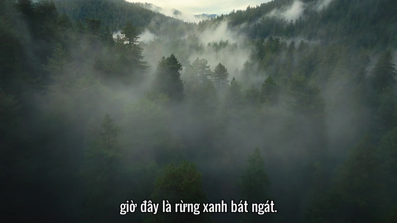 Chuyện chưa kể về khủng long tập 1 cảnh 2