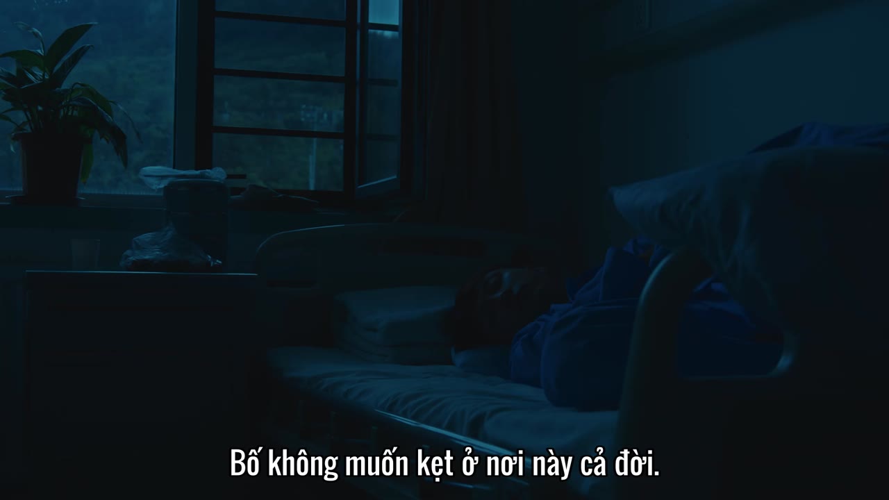 Năm Tháng Hữu Tình tập 24
