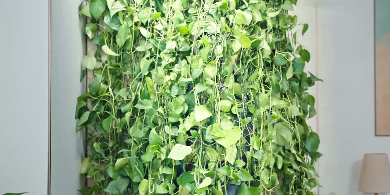 Mẹ Tôi Là Hoa Khôi tập 1 cảnh 3