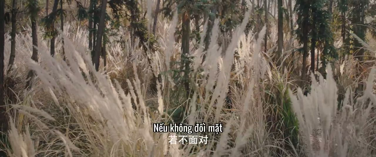 Hầu Vua Như Hầu Cọp tập 21 cảnh 3