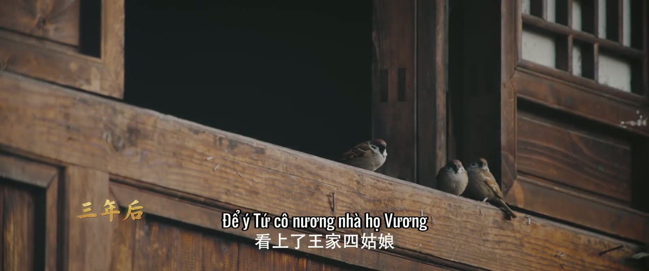 Hầu Vua Như Hầu Cọp tập 24 cảnh 2