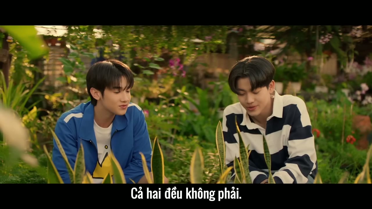 Cây cam ở nhà cậu ấy nhưng quả cam luôn rơi sang nhà tôi tập 5