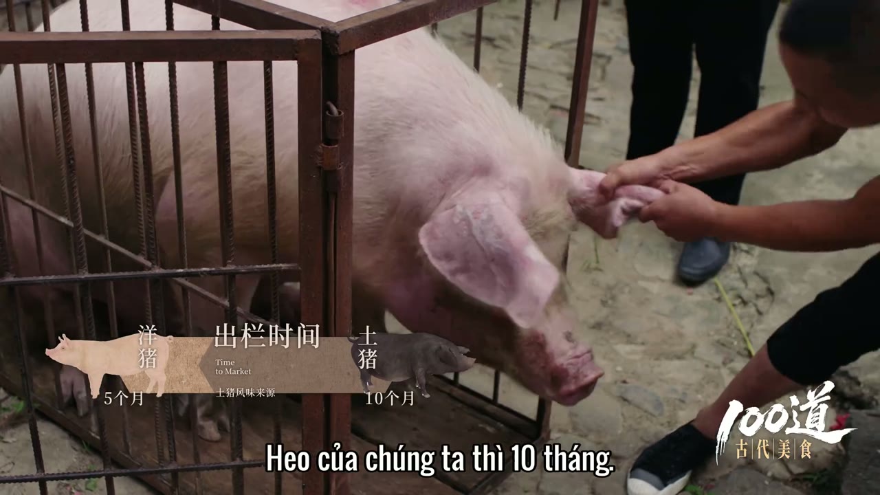 Bách Đạo Cổ Đại Mỹ Thực (100 Món Mỹ Vị Cổ Đại) tập 4 cảnh 2