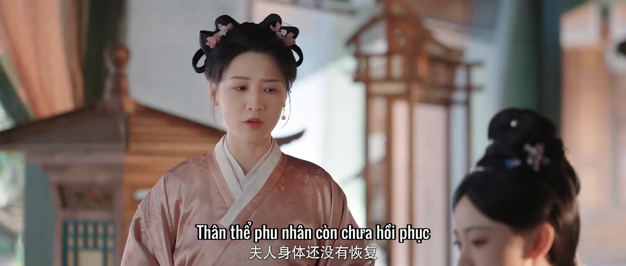 Vinh Hoa Lệnh tập 8