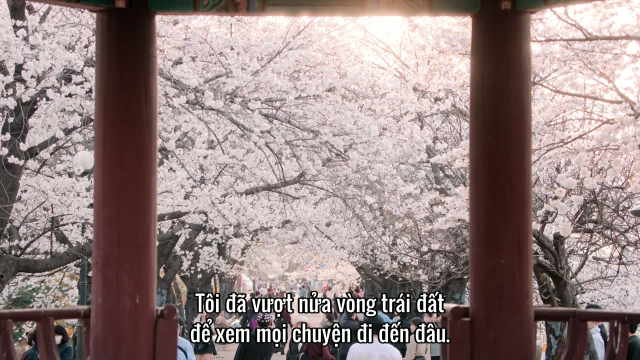 My Korean Boyfriend tập 1 cảnh 2
