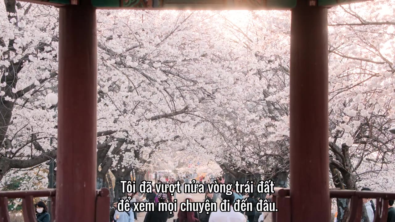 My Korean Boyfriend - cảnh 2