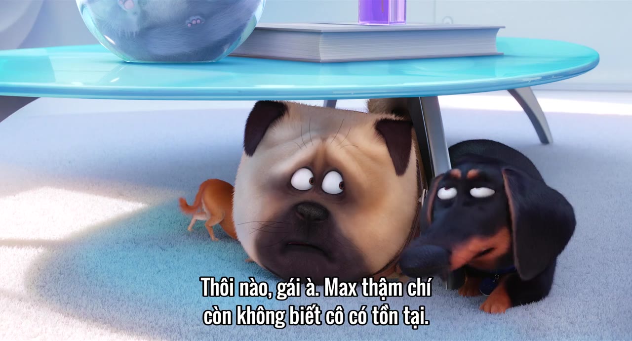 Đẳng cấp thú cưng tập 1 cảnh 2