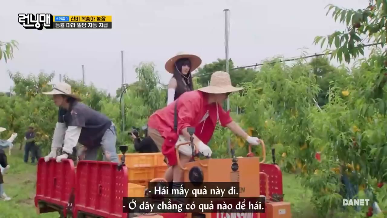 Thử Thách Thần Tượng tập 810