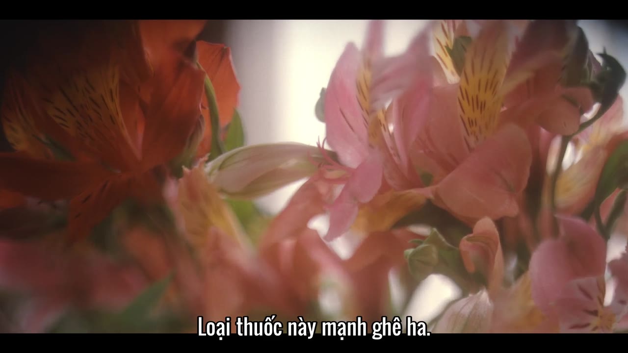 Mùa Ruồi tập 6 cảnh 2
